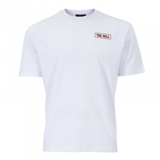 T-shirt Officiel Southampton FC – Gris, Homme Taille L, Grand Col V, Neuf