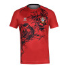 SAINTS JUNIOR 23/24 HOME MATCHDAY T-SHIRT