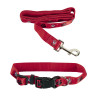 SAINTS DOG COLLAR & LEAD
