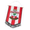 SAINTS PENNANT (30cm)