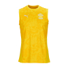25/26 Training vest ADULT