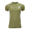 25/26 Travel shirt  player ADULT